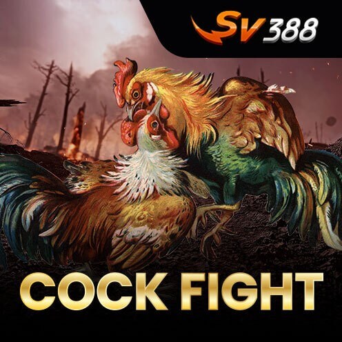 Cock Fight